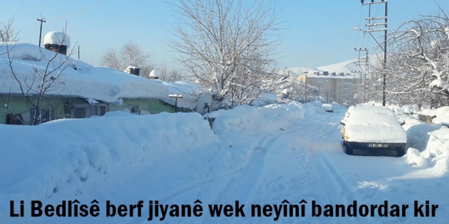 Li Bedlîsê berf jiyanê wek neyînî bandordar kir