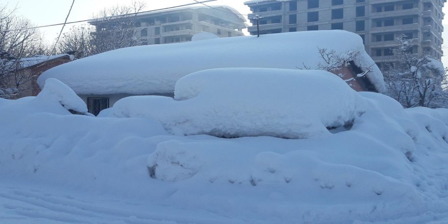 Bitlis'te kar hayatı olumsuz etkiledi