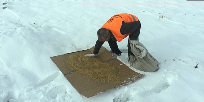 Elazığ’da sokak hayvanları için yem bırakıldı