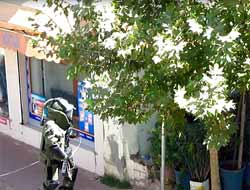 Siverek'te Şüpheli Paket Paniği