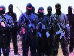 Dîsa Kontirgerîlla Anîn