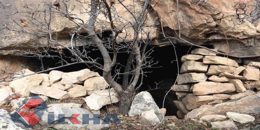 8 penagehên PKKê hatin tespîtkirin