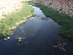 Çağ Çağ Deresi Tehlike Saçıyor