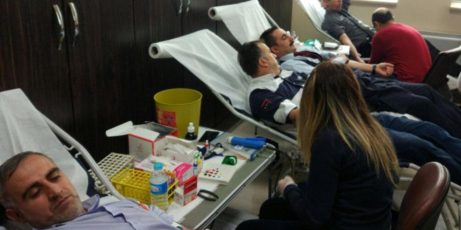 Bingöl’de Kızılay’a 240 ünite kan bağışı yapıldı