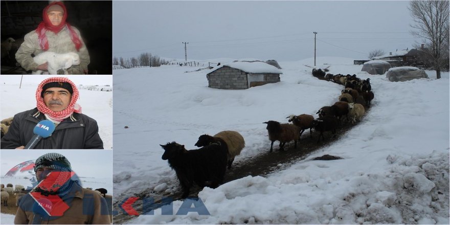 Kesên ku pez xwedî dikin rojên bi zehmet diborînin