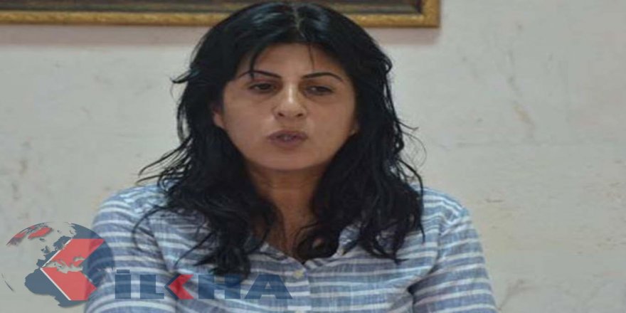 Seroka Şaredariya Nisêbînê hat binçavkirin