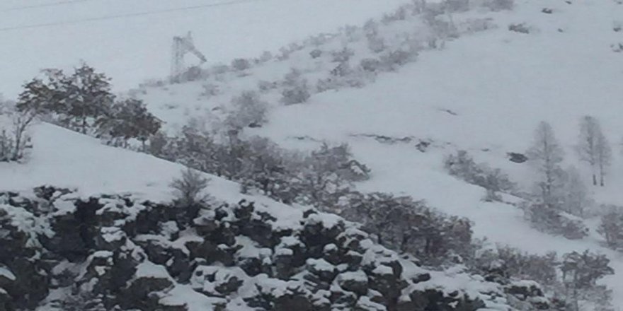 Li Bedlîsê şer: 2 leşker mirin