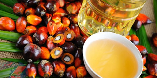 Bakan Çelik'ten 'palm yağı' açıklaması