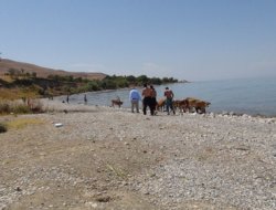 Ramazan Bitti Piknikler Başladı