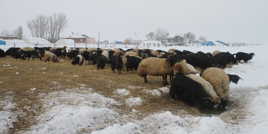 "Kışın köyde yaşam zor ama güzel"