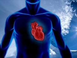 Küçük Değişiklerle Kalbi Korumak Mümkün