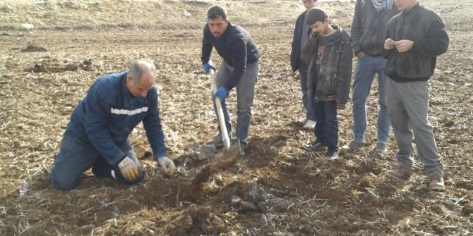Çiftçiler fıstık ekimine başladı