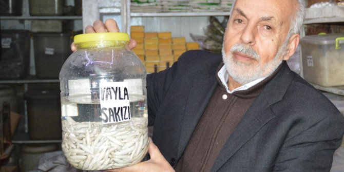 "Olaylar nedeniyle yayla sakızı toplanamıyor"