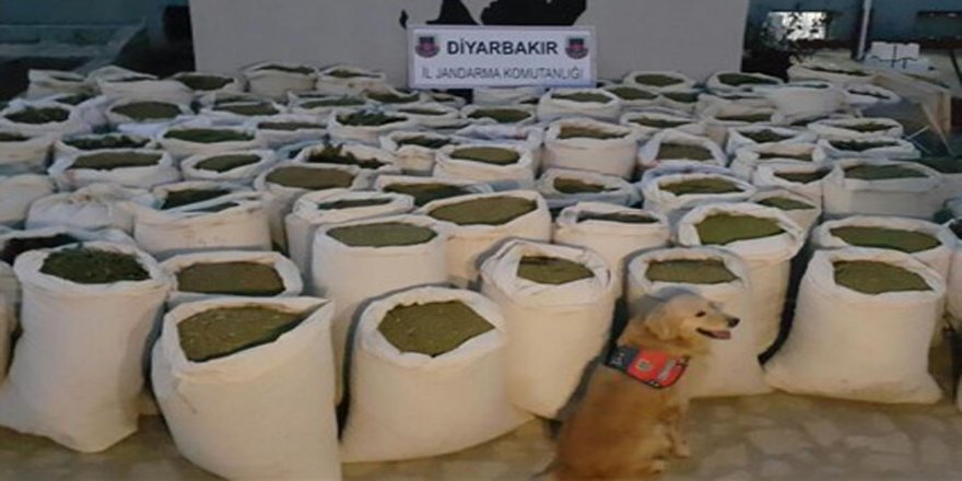 Esrar baskınlarında 5 gözaltı