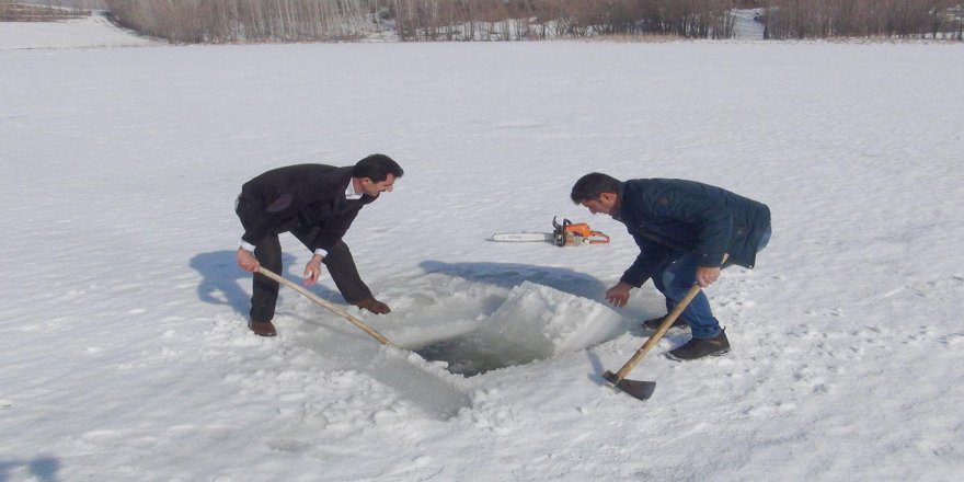 Balıkların yaşaması için büyük çaba harcıyorlar