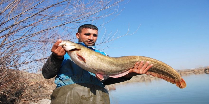 Rızkını 14 yıldır Dicle Nehri'nden çıkarıyor