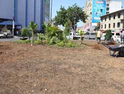 Kavşaklar Çiçeklerle Süsleniyor