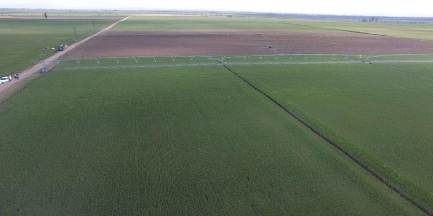 Tarım il müdürlüğünden "Büyük Ova" açıklaması