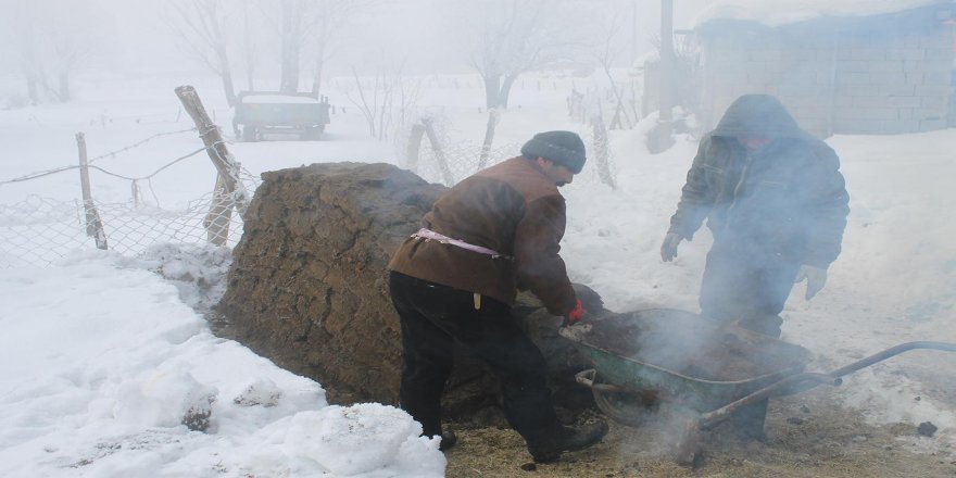 Köylüler sonraki kış için tezek istifliyor