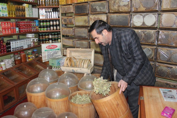 Ihlamurun kilosu 200 lirayı buldu