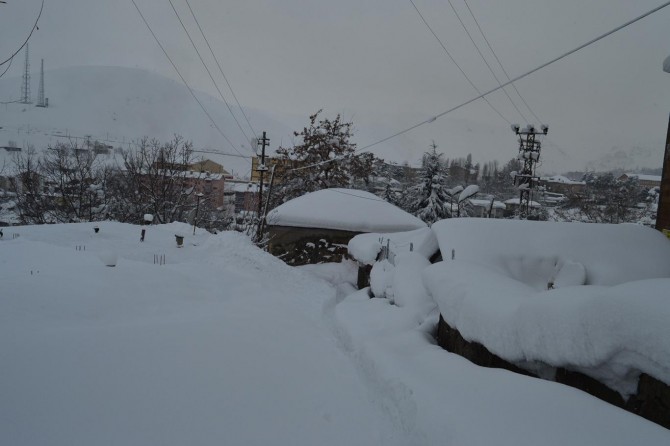 Bitlis kara gömüldü