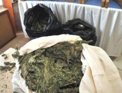 Ceyhan'da Uyuşturucu Operasyonu