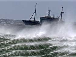 Güney Kore' de Tayfun 25 Ölü