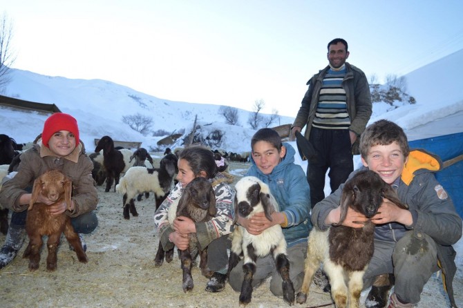 Kuzularla ilgilenmek çetin kış günlerinin zorluğunu hissettirmiyor