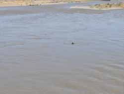 Boğulma Vakaları Bitmiyor