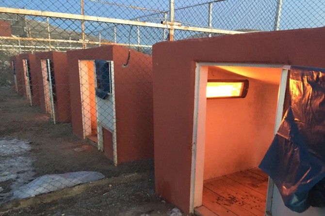 Mardin'de sokak hayvanları elektrikle ısınıyor