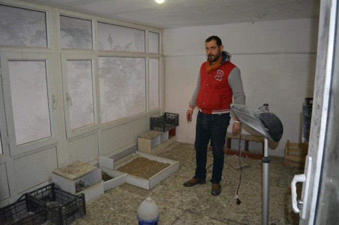 Batman'da 3 ayrı hırsızlık vakası