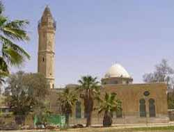 Ji Bo Camiyê Tepkî