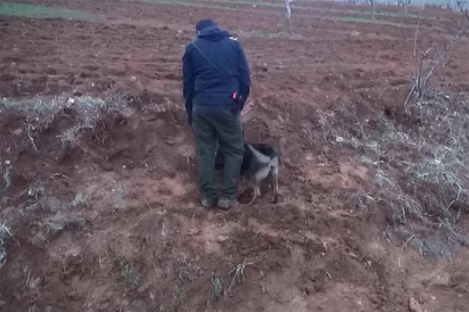 IŞİD'li olduğu iddia edilen 4 kişi 150 kilo patlayıcıyla yakalandı