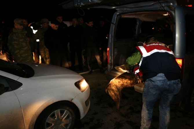 Bingöl'de geniş kapsamlı asayiş uygulaması