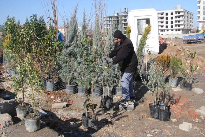 "Kıyametin kopacağını bilseniz elinizdeki fidanı dikiniz"