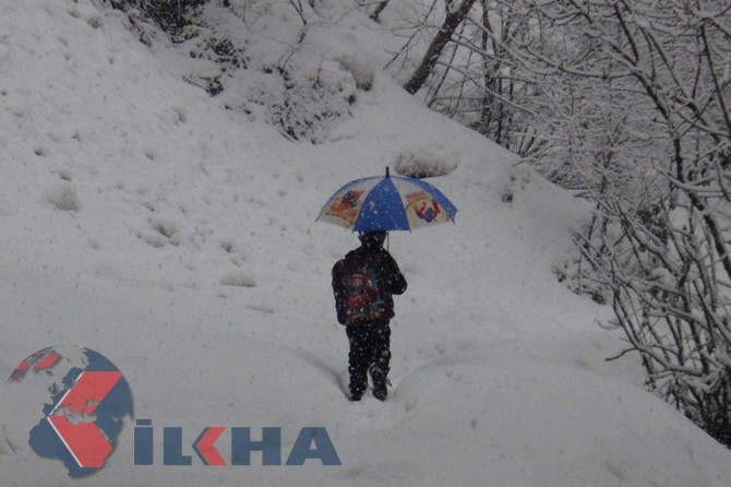 Ji ber berfê li Şernexê mekteb hatin tatîlkirin