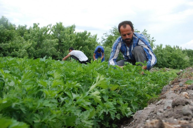 "Tarım her türlü desteği hak ediyor"