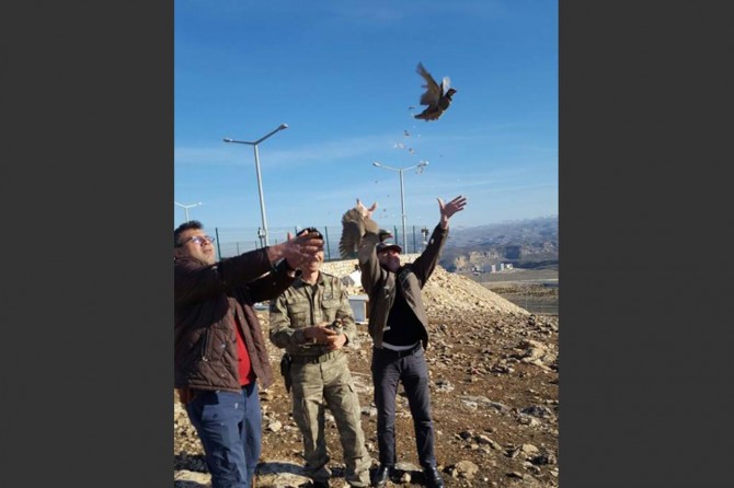 Yasak avlanan keklikler doğaya bırakıldı