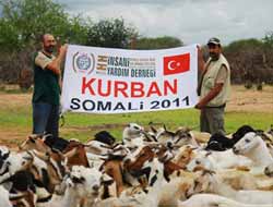 İHH Kurban Çalışmaları İçin Kolları Sıvadı