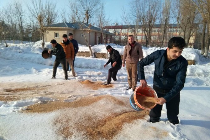 Öğrenciler kuşlar için yem bıraktılar