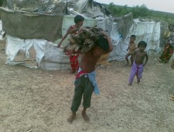 Avrupa Yetim-Der`den Arakan`a Yardım Eli