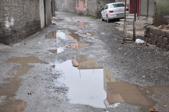 Gel ji rêya xerabe û biherî re bertek nîşan da