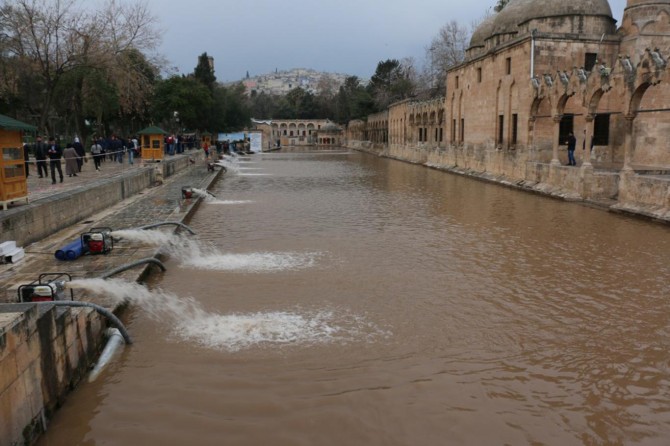 Gola Masiyan bû gola heriyê