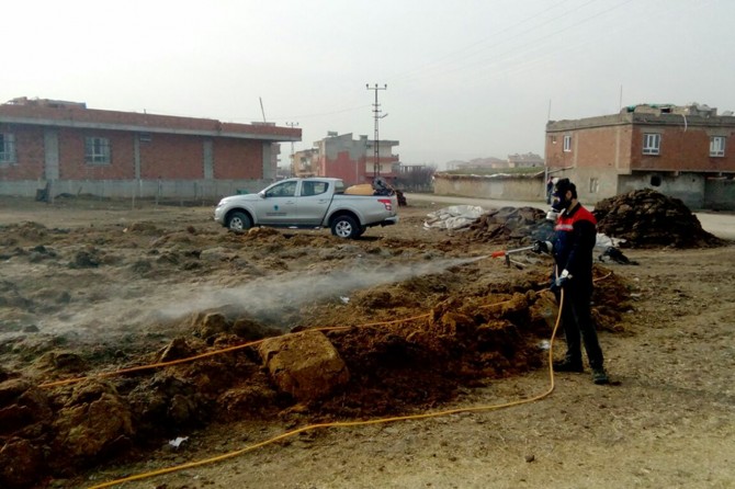 Batman'da haşerelere karşı ilaçlama çalışmaları başladı