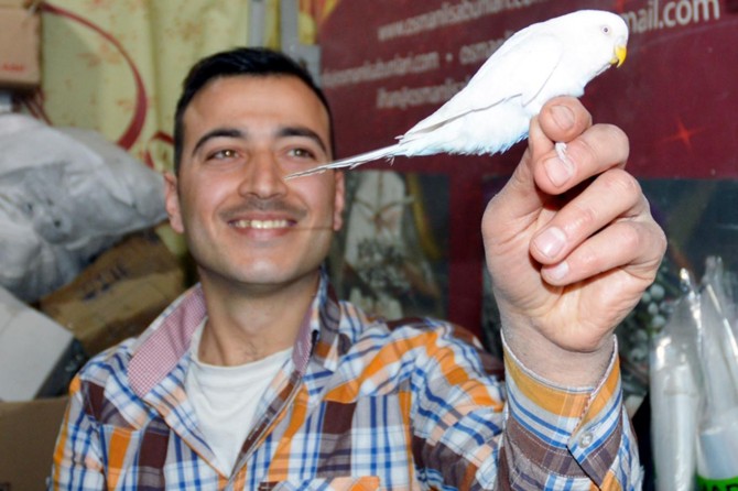 Savaşın acısını kuşlarla unutmaya çalışıyor