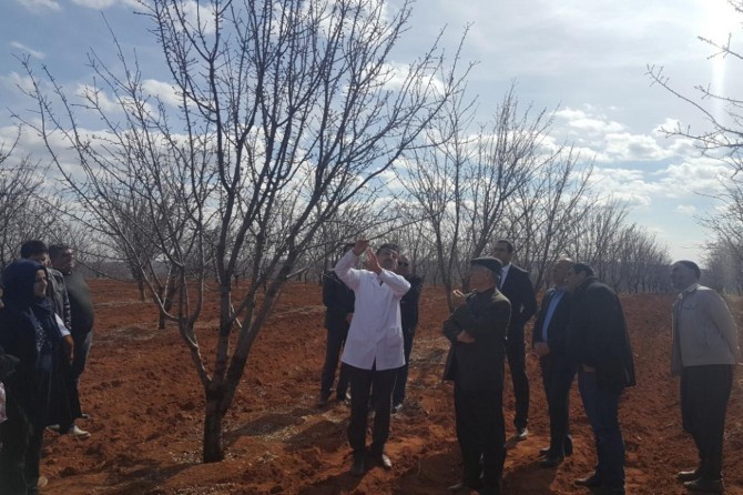 "Meyve Yetiştiriciliği ve Budama" eğitimi verildi