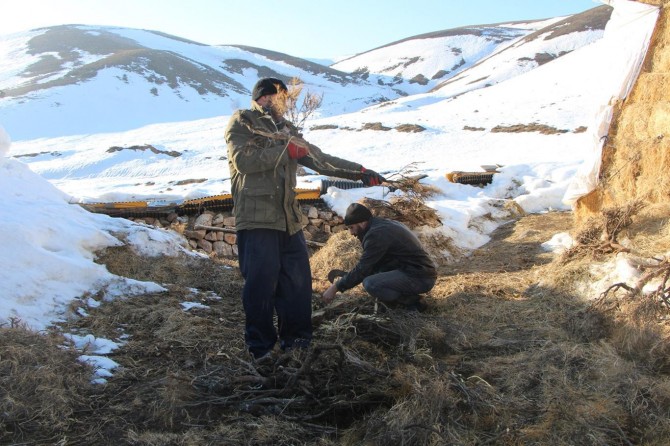 Di şûna kayê de “gûnî” didin heywanên xwe