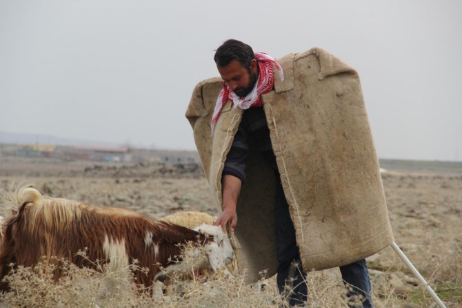 "Çobanlık sabır isteyen bir meslektir"