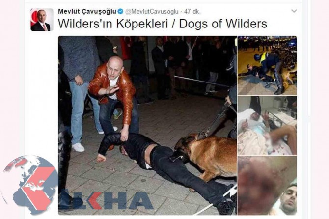 ‘Dogs of Wilders’ says Çavuşoğlu