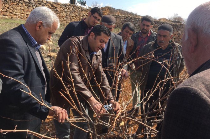 Ziraat Fakültesi öğretim üyelerinden çiftçilere eğitim